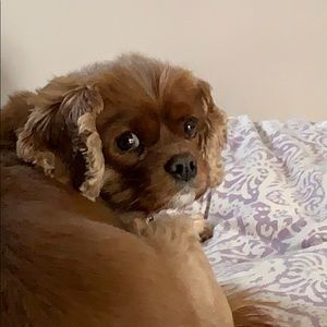 Meet your Posher, Debra